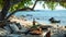 beachside dining setup with seafood on a wooden camping table in summer