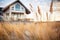 beachside gambrel getaway, dune grass, aged shingle texture