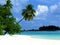 Beachtropical paradise beach with white sand and coco palms travel tourism wide panorama background
