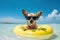 Beachy Chihuahua: A Whimsical Image of a Pup in Shades Relaxing on a Colorful Float - Generative AI