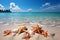 Beachy wonders Seashells and starfish scattered on a stunning tropical beach