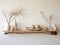 Beachy Wood Floating Shelf with Seashell Frames and a Driftwood - AI Generated
