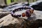 beaded bracelet draped over a rough granite boulder