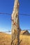 Beaded necklace hanging from a fence post