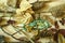 Beads with dry autumn leaves, reed panicles,thorns, pine cones and stones on light plywood