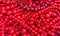 beads red necklace background