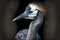 beaful crane bird blue gray colors on dark background