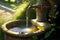 from beaful old tap, water flows into stone sink in garden drenched in morning sunshine