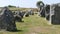 Beaghmore Neolithic Stone Circles Tyrone Northern Ireland