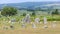 Beaghmore Neolithic Stone Circles Tyrone Northern Ireland