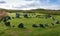 Beaghmore stone circles