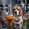 A Beagle as a mad scientist, surrounded by miniature beakers and bubbling potions4