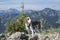 Beagle on the Bodenschneid summit