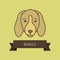 Beagle breed dog for logo design