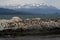 Beagle Channel sea-lion colony, Tierra del Fuego