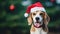 Beagle Christmas dog background. Happy New Year, Merry Christmas concept. Portrait of Cute Beagle puppy breed wearing