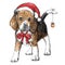 Beagle with christmas hat