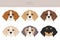 Beagle clipart. Different coat colors set