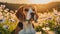 Beagle dog in a blossoming flower meadow, close-up