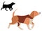 Beagle Dog Breed in Cartoon and Outline