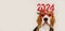 A beagle dog in carnival glasses with the numbers of the 2024 New year.