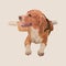 Beagle dog digital painting, cute