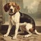 Beagle dog, engraving style, close-up portrait, black and white drawing, cute dog, hunting breed,