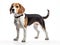 The Beagle is a dog in the hound group with an excellent sense of smell. Generative AI