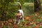 Beagle Dog Playing with Tree Banch. Autumn Leaves in Background.