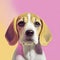Beagle dog portrait, pink and yellow pastel colors, copy space. Generative AI