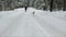 The Beagle dog runs in the snow. Beagle walks in the snowing winter. Girl having fun with her dog. Slow motion.