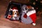 A beagle dog in a Santa Claus hat in a suitcase with clothes and gifts