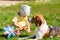 Beagle dog in sunny backyard with little girl child playing in background