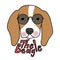 The Beagle dog wear sunglasses cartoon