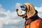 Beagle dog wearing blue flying glasses