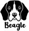 Beagle head black and white