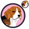 Beagle head in circle