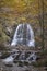 Beagle at the Josefstal waterfall in autumn