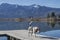 Beagle at lake  Eichsee near Kochel