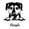 Beagle Peeking Dog - head isolated on white