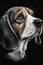 Beagle portrait on a black background. Generative AI