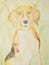 Beagle portrait on a goldgreen background.