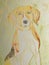 Beagle portrait on a metallic background.