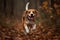 Beagle Portrait Outside, Generative AI