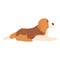 Beagle pose icon cartoon vector. Dog puppy