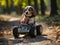 Beagle pup driving toy car in business