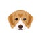 Beagle puppy head in pixel art style.