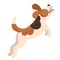 Beagle puppy jumping isolate on a white background. Vector graphics