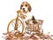 Beagle puppy in mini brown bicycle