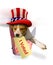 Beagle Puppy in Patriotic Hat